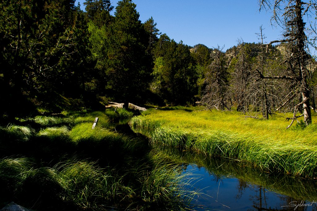Sentier vers le refuge de la balmeta (66)_GIL4487.JPG
